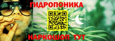 СК Боровичи