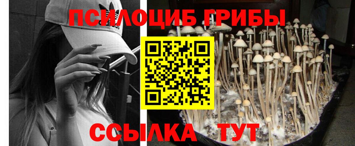 Галлюциногенные грибы ЛСД Братск